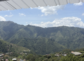 Immersion Project Highlight: Medellín, Colombia